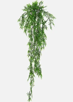 Bambou décoratif