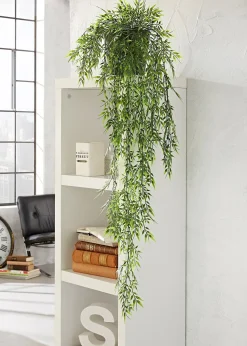 Bambou décoratif