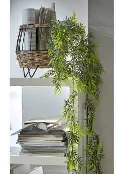 Bambou décoratif