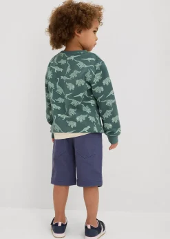 Bermuda extensible, Regular