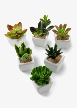 Mini-succulentes artificielles (Ens. 6 pces.)