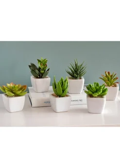 Mini-succulentes artificielles (Ens. 6 pces.)
